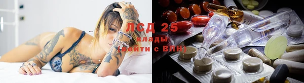 дмт Алексин