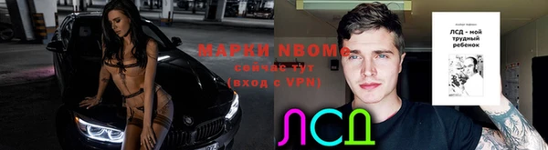 дмт Алексин