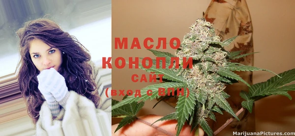 кокс Ельня